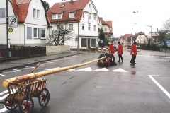 2001-004-Baumsteller