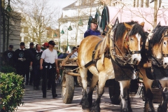 2001-017-Maibaum-Transport