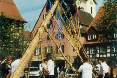 2001-019-Bild-99