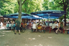2006-019