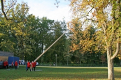 2015-038
